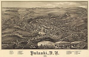 Pulaski bird's eye2