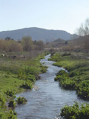 Río Argos a su paso por el termino municipal de Cehegín