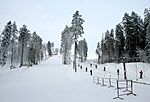 Riekstukalns - ogre11 - Panoramio