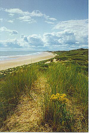 Sands of Forvie