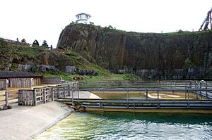 Seal pens at Deep Sea World - geograph.org.uk - 1296542