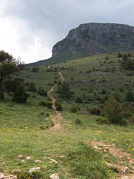 Path to the Montcabrer