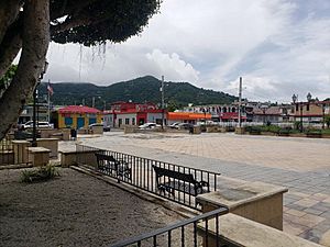 Square (Plaza de recreo) of Maunabo barrio-pueblo