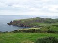St Abbs Head from the NW