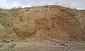 Storm damage at Stevenston Sand Dunes