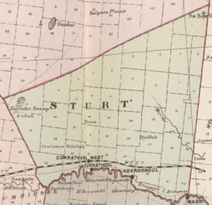 Sturt Count NSW (John Sands 1886 map)