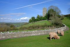 The path up to Blagdon church - geograph.org.uk - 293993