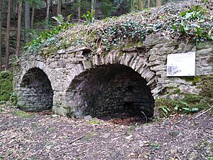 Tintern Limekiln