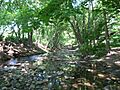 TookanyCreek