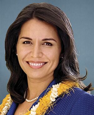 Tulsi Gabbard 113th Congress