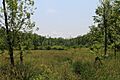 Undeveloped land in Lake Township, Luzerne County, Pennsylvania