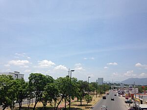 Victoria City avenue