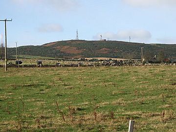 View of Brimmond Hill - geograph.org.uk - 607110.jpg