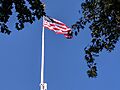 Village green flag 20180916 113138