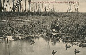 Wild Duck Shooting, Crane Creek, near Toledo, Ohio - DPLA - 5646227ece0580ad607fcce12db1433f (page 1)