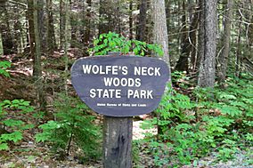 Wolfe's Neck Woods State Park.jpg