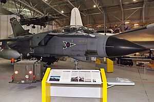ZA465-FF Panavia Tornado GR4 (9422232415)
