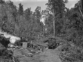 "Knight's tram, Raurimu", in a clearing in the bush, hauling logs. ATLIB 293489