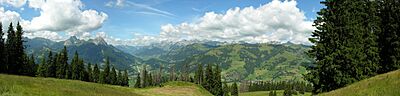 2005-07-22 Hornberg Saanen 03