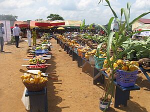2010 FarmersDay AshantiRegion Ghana 5262946799