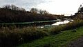 2017 Mercer Slough