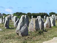 4730.1099 Menhire,bis zu 4 Meter hoch,von Ost nach West in 1167 Meter Langen Alignements(Steinreihen) in einem Halbkreis endend Le Ménec, Carnac ,Departement Morbihan ,Bretagne Steffen Heilfort