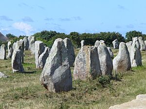 4730.1099 Menhire,bis zu 4 Meter hoch,von Ost nach West in 1167 Meter Langen Alignements(Steinreihen) in einem Halbkreis endend Le Ménec, Carnac ,Departement Morbihan ,Bretagne Steffen Heilfort