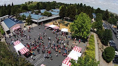 Aerial view of Alamo school during the annual hoedown celebration