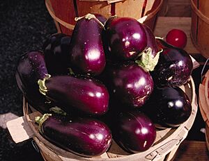 Aubergines