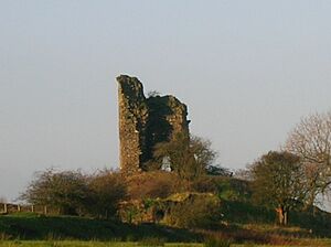 Auchenharviecastle2007
