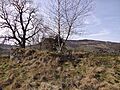 Auchenhove Castle mound