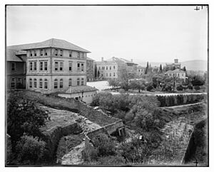 Buildings of American University, Beirut LOC matpc.07113