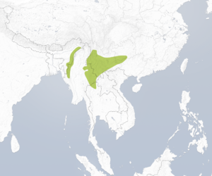 Distribution syrmaticus humiae.png