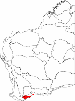 Dryandra ser. Plumosae map