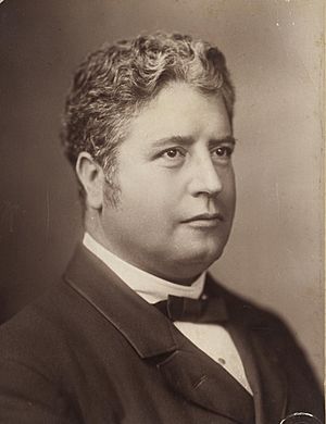 Edmund Barton, Q.C., M.L.C., ca. 1889 SLNSW
