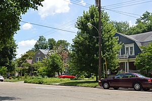 Elsmere Park, southern side