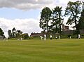 Farnham Cricket Club June 2015