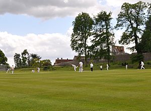 Farnham Cricket Club June 2015