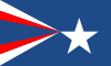 Flag of Anthony, Texas