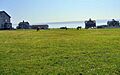 Deer grazing on grass in front of historic buildings