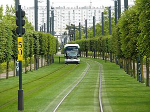 Flickr - IngolfBLN - Nantes - Tramway - Ligne 3 - Orvault (18)