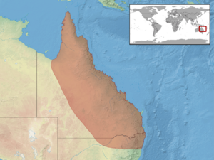 Gehyra dubia distribution.png