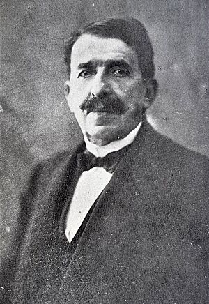 Habib Paşa Al-Sa'd