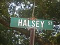 Halsey Street sign, Alexandria, LA IMG 1161 7