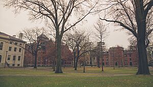 Harvard Yard (15967839915)