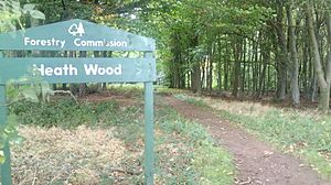 Heath Wood entrance in Derbyshire only Viking cemetery