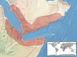 Hemidactylus yerburii distribution.png