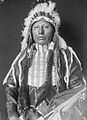Horse Chief, son of White Eagle, Ponca (1906)