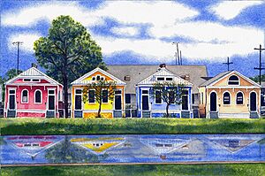 Houses on the Bayou