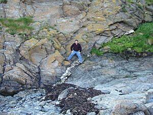 Iapetus Suture - Niarbyl Fault - Isle of Man - kingsley - 23-JUN-09